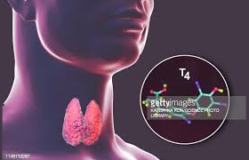 Endocrinología