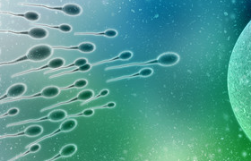 Fertilidad