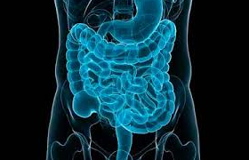 Gastroenterología