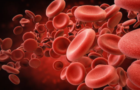 Hematología