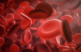 Hematología