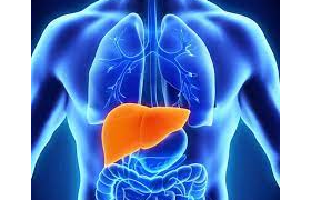 Hepatología