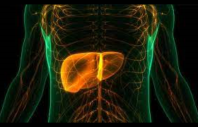 Hepatología