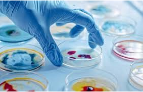 Microbiología