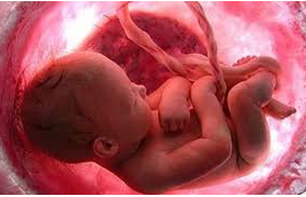Prenatales
