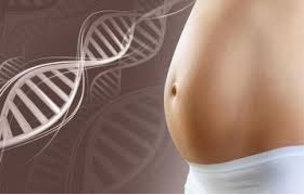 Prenatales