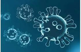 Virología